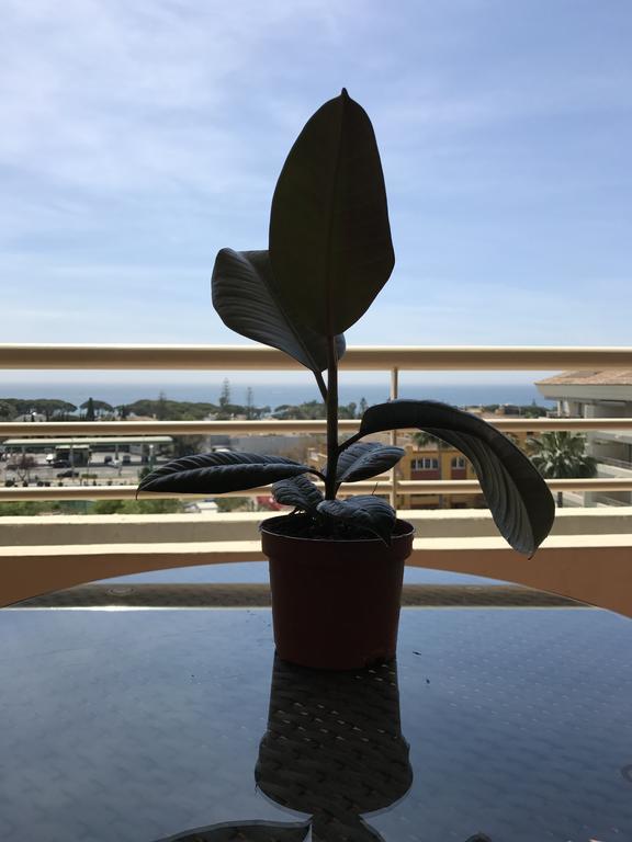 Apartament Nagueles II Marbella Zewnętrze zdjęcie